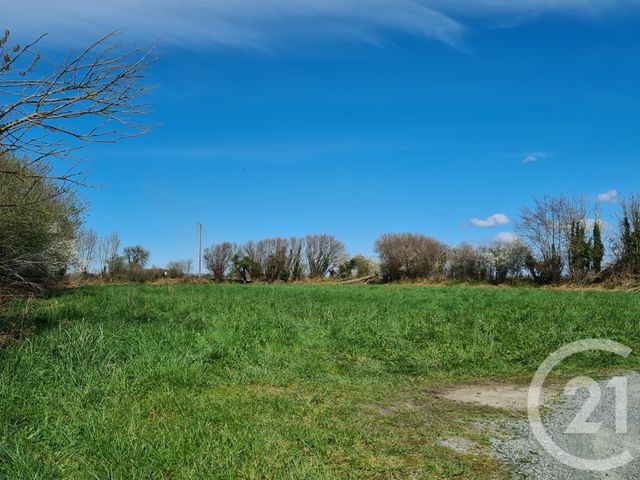 terrain à vendre - 1600.0 m2 - GRATOT - 50 - BASSE-NORMANDIE - Century 21 Royer Immo