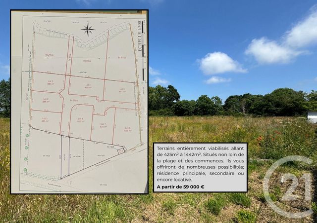 terrain - GOUVILLE SUR MER - 50