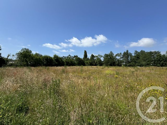terrain à vendre - 425.0 m2 - GOUVILLE SUR MER - 50 - BASSE-NORMANDIE - Century 21 Royer Immo