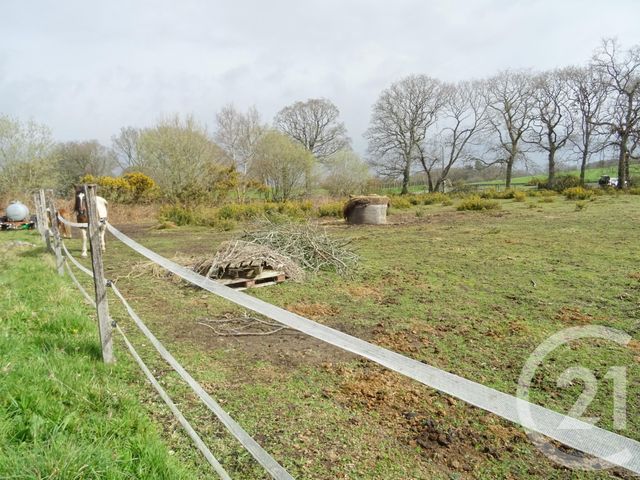 Afficher la photo en grand terrain à vendre - 3470.0 m2 - JULLOUVILLE - 50 - BASSE-NORMANDIE - Century 21 Royer Immo